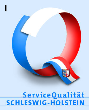 Logo Service-Q