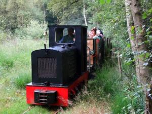 Kurbahn - Fahrten ins Moorgelände Bad Bramstedt