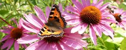 Geheimtipps