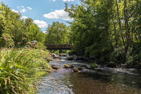 20-05-29--Bad-Bramstedt (141 von 180)